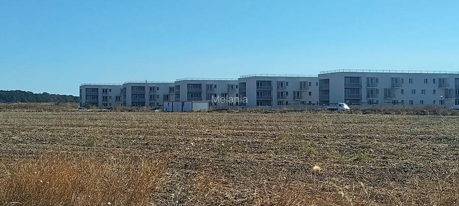 47500mp INTRAVILAN Pantelimon ideal investitie/ cartier case/ direct proprietar! - 10