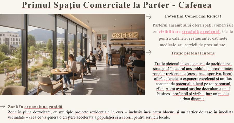 Teren 12 000 mp cu PUZ - 6 Blocuri - P+5E - 104 apartamente -  Brasov - 4