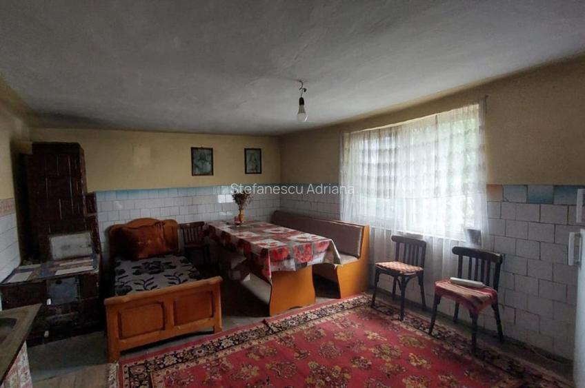 Proprietate cu 2 locuințe + spațiu comercial, 1175 mp teren – Islaz - 15
