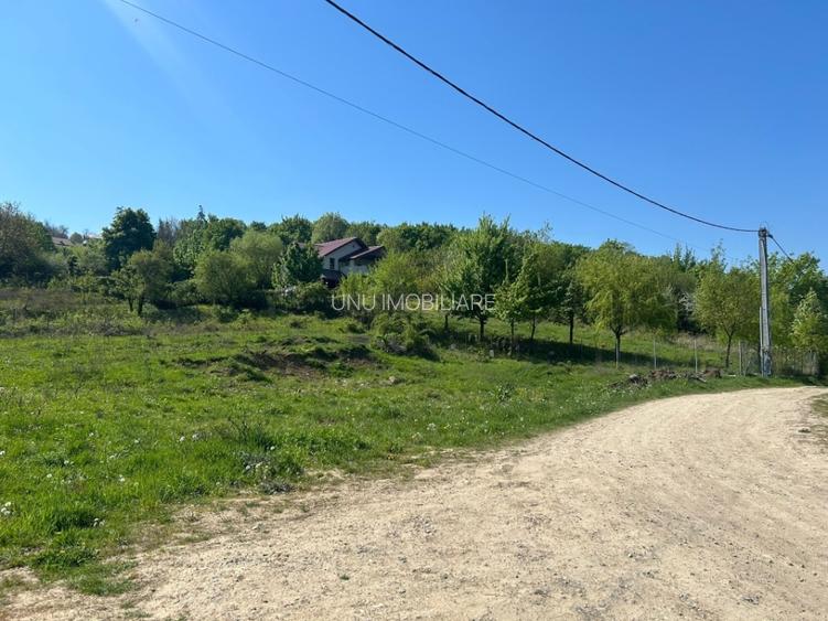 Teren Intravilan 650-700mp Bucium Iași Piatra Sfântă, CU pt Casă, 35.000€ - 3
