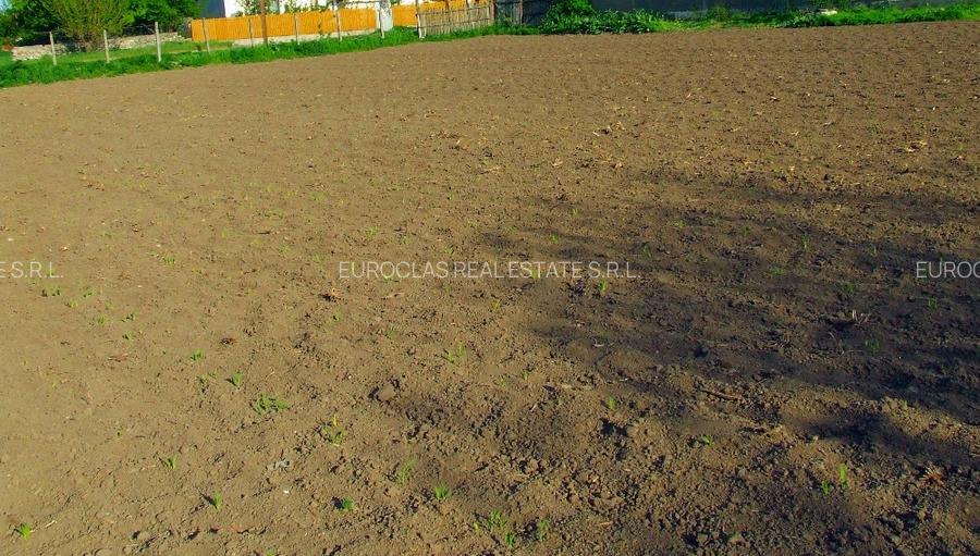 Conac boieresc - 5 camere - Nicolae Balcescu - 105.000 euro (Cod E11) - 12