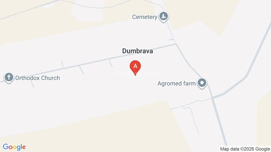 Casa de vanzare in dumbrava mica - 10