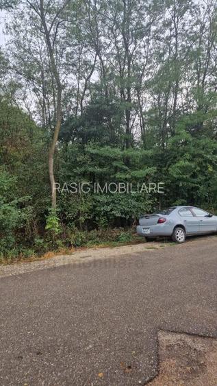 Pensiune Silistea Snagovului - 16