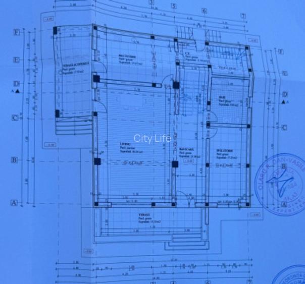 Vila eleganta centru Aroneanu - 20