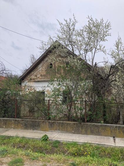 de vânzare casă cu teren - 4