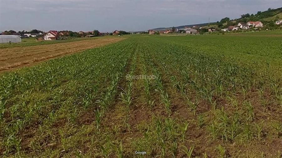 Teren de vanzare in Santana de Mures - 2