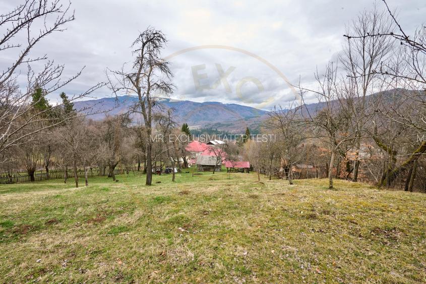 Casa  la munte cu teren generos in Com. Nucsoara, loc. Slatina jud. Arges! - 9