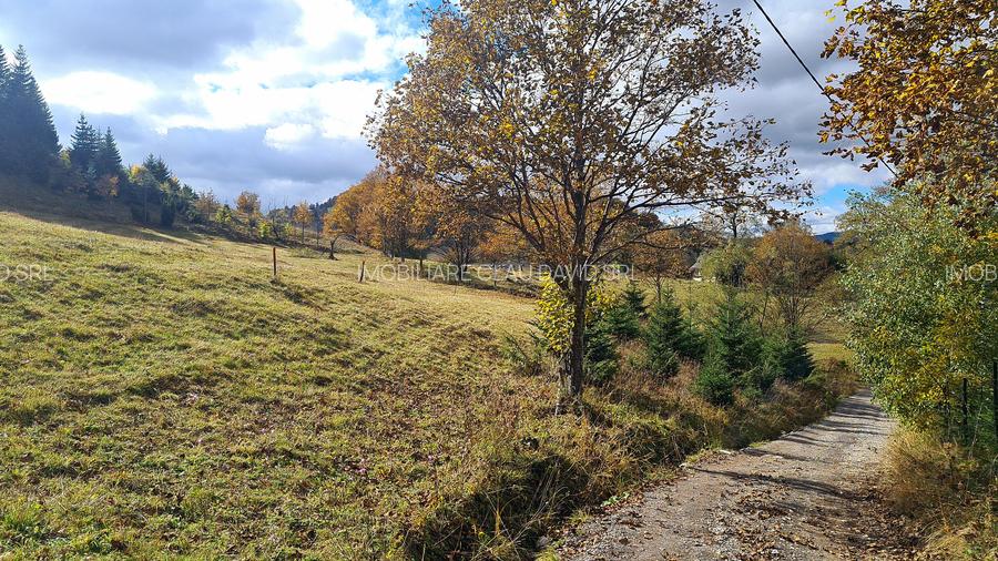 TEREN INTRAVILAN-EXTRAVILAN SPECTACULOS LANGA RESORTUL CHEILE GRADISTEI -FUNDATA - 5
