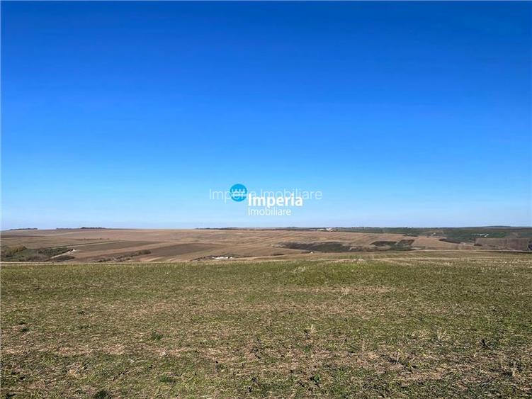 Rediu Horlesti 30000 mp  Soseaua DJ 282 - 3