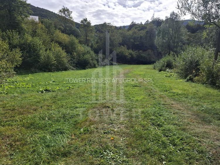 Teren Intravilan de Vânzare – 3622 mp – Râu Sadului - 9