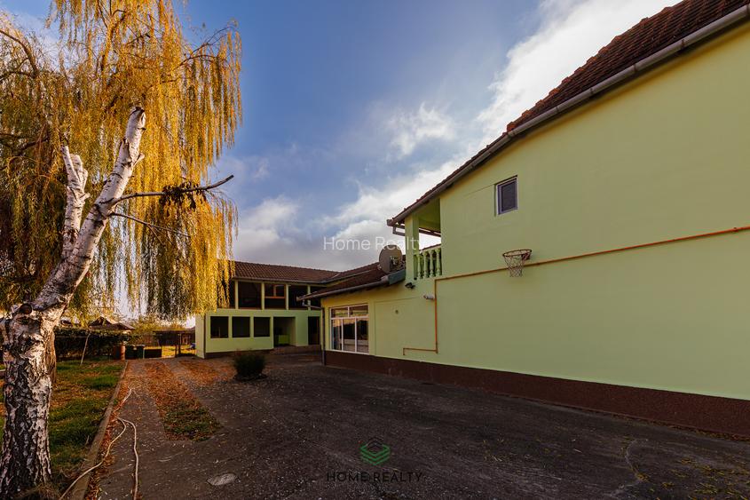 COMISION 0% I Casă + Teren - 3.763 mp I Peciu Nou - str. Principală. - 29