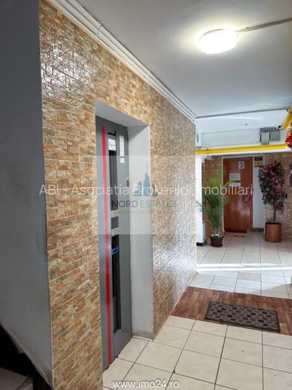 Apartament 2 Camere Piata Victoriei stradal, Iancu de Hunedoara - 11