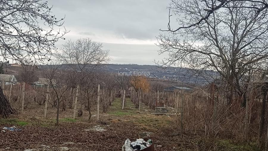 Casă bătrânească cu teren in Tomești  - 3