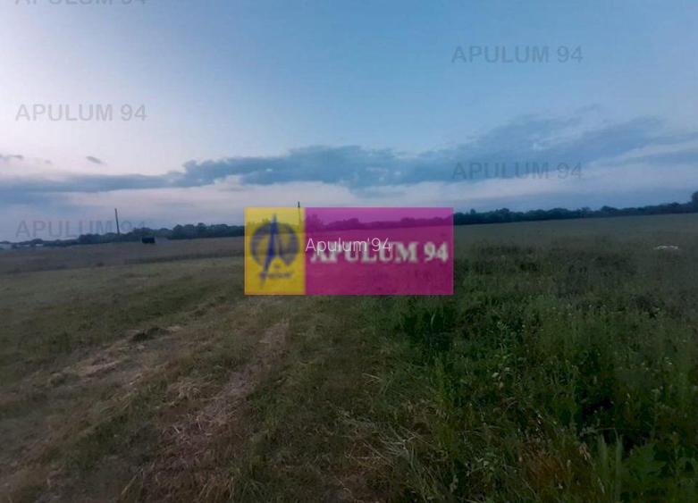 Teren aproape de Bucuresti langa padure - 18