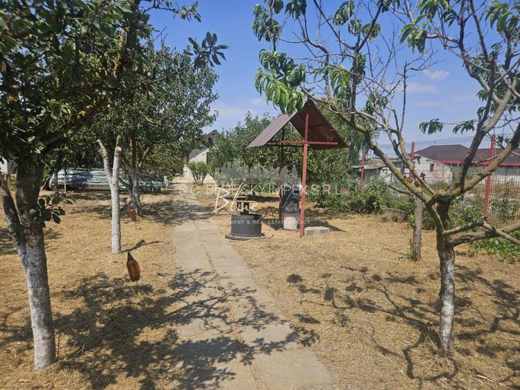 Casa cu teren 1200 mp situata in Localitatea Mihai Kogalniceanu - 11