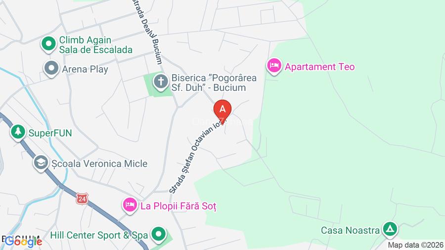 Casă de vânzare în Bucium Iași - 4