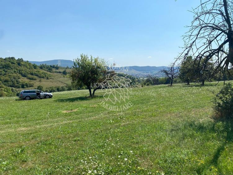 Teren 11.000 mp-ideal cabana/ferma-Unirea-Valea Slatinitei - 4