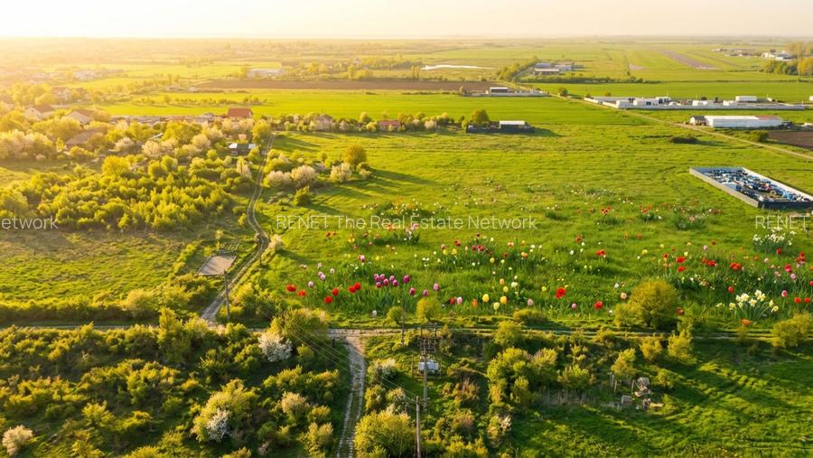 Teren Bragadiru langa A0 - PUZ aprobat, vizibilitate autostrada - 9