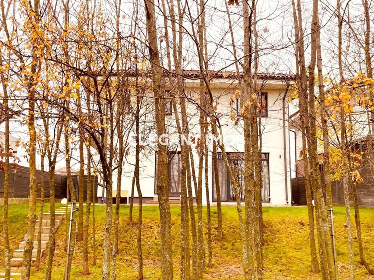 Vila deosebita in Paradisul Verde - 15