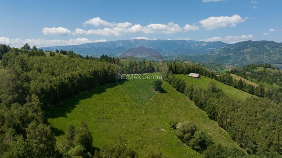 Teren Panoramic in Bran – Vedere spre Bucegi & Piatra Craiului - 12