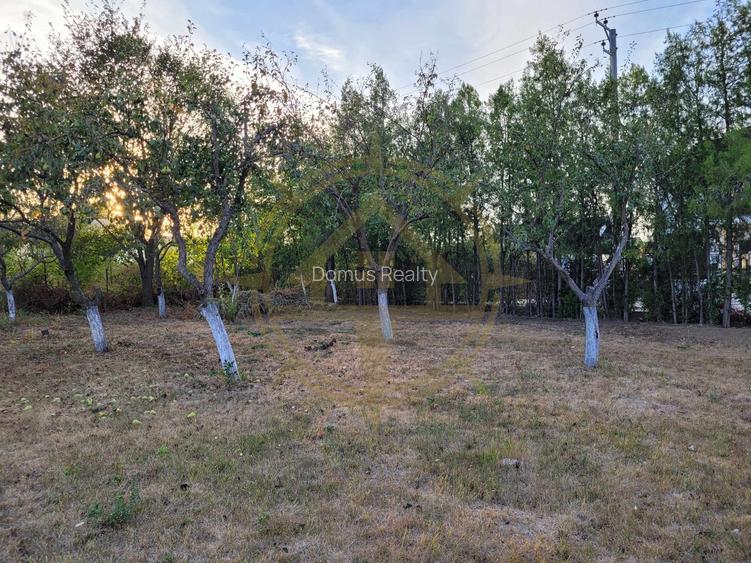 DOM00438 - De vanzare teren intravilan 1000 mp. Corbeanca - 6