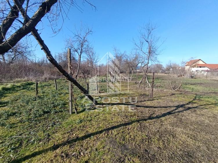 Casa individuala cu teren generos 2158mp, front 12m, livada, Freidorf - 12