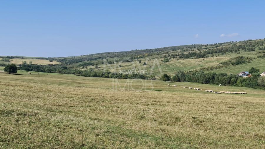 Casa individuala - 684 mp teren, Marpod - 10