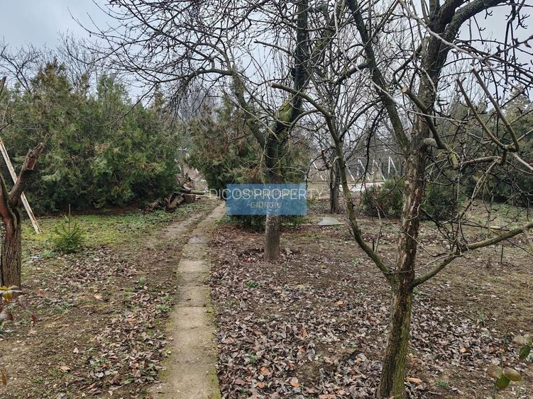 Teren 2.600 mp, utilități, Str. Merișor – Giurgiu - 11