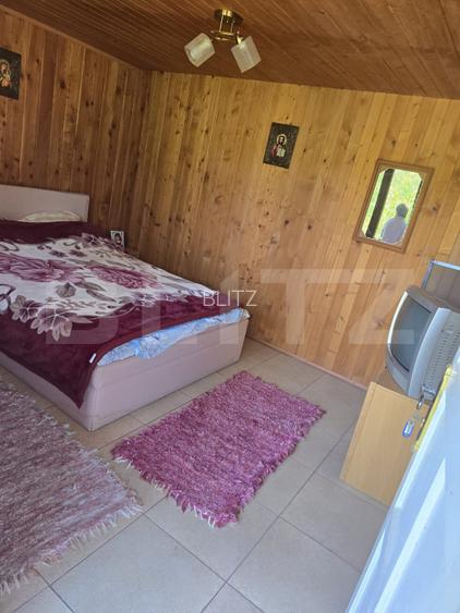 Livada de vanzare, 16.000 mp, zona Hodac