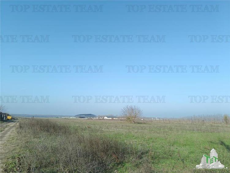 Teren intravilan la DJ 101, in Gruiu, aproape de manastirea Caldarusani, ideal
