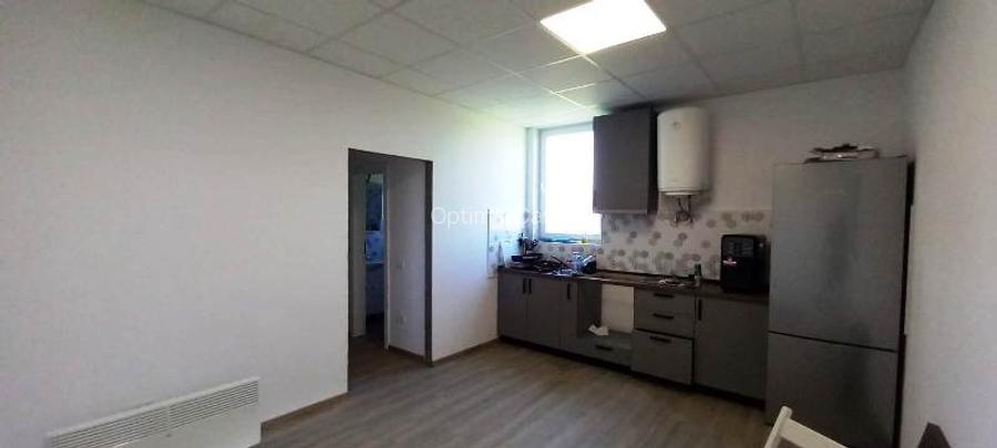 Magurele,hala 1000 mp,constructie noua ,ideal depozitare,productie - 10