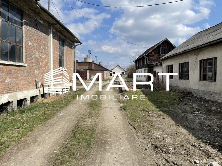 Teren intravilan 16000 mp + hale Calea Surii Mici - 2
