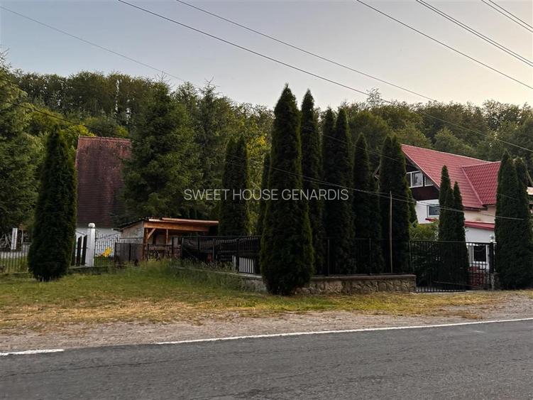 Oportunitate de investitie Cabana Cartisoara Zona Turistica - 34