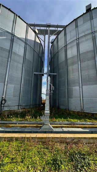 Siloz cu capacitate 3000 tone (+3000t pista betonata) | 2 ha teren - 9