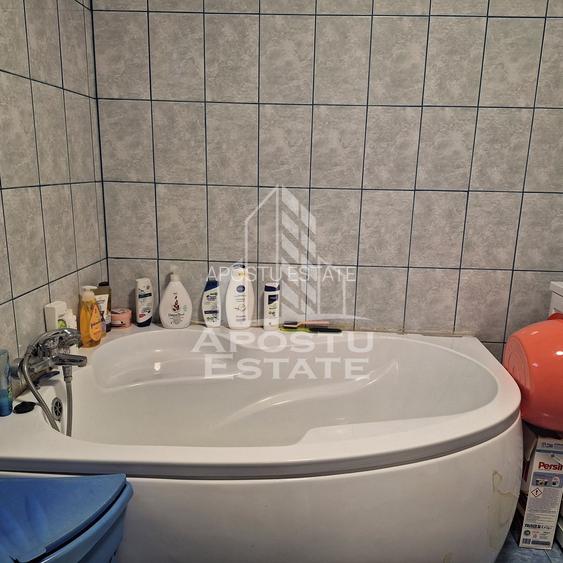 Casa Individuala in zona linistita in  Giarmata -Vii - 9