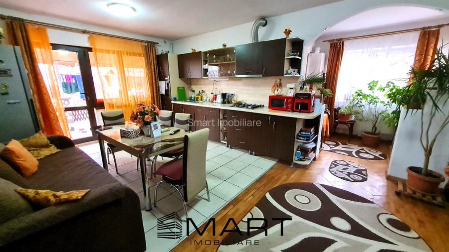 Casa individuala 100mp teren 530mp Terezian - 10