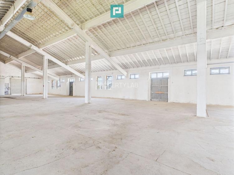 Hale 1800 mp fiecare – acces autostradă, Teiu, HD - 5