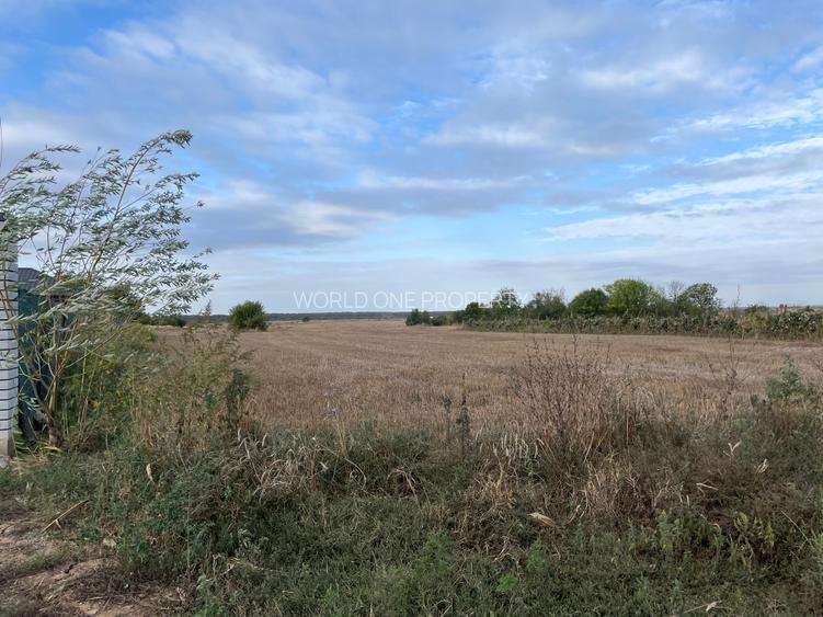 Teren extravilan/Utilitati - 2