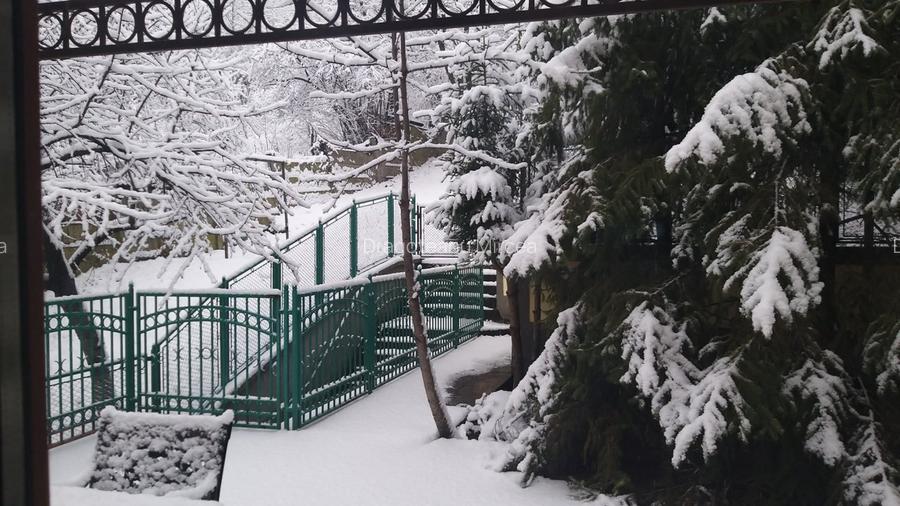 Vila splendida cu 500 mp utili de vanzare in Cluj centru, pe teren de 1645 mp - 4