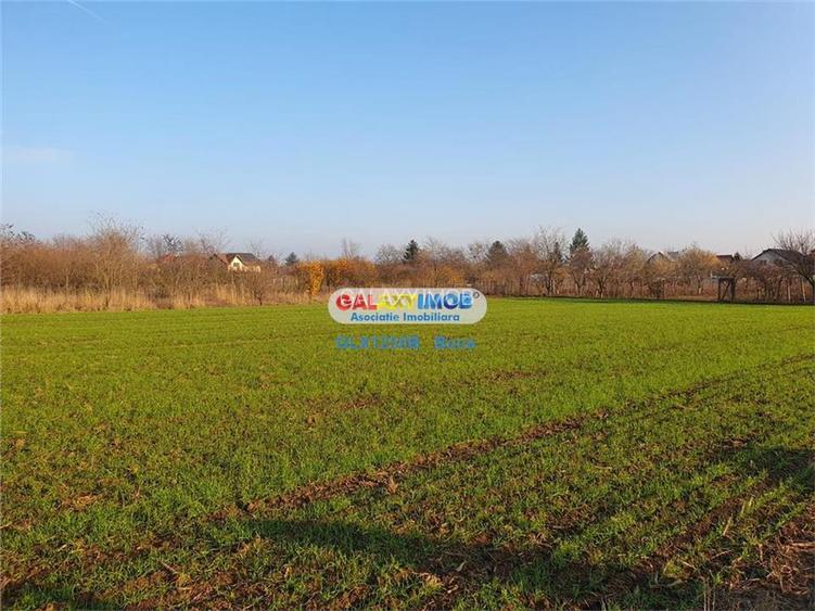 Teren intravilan Crevedia-Manastirea - 4