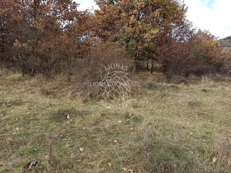 Teren intravilan- 2,025mp oportuitate casa/investitie-Zona Subcetate - 3