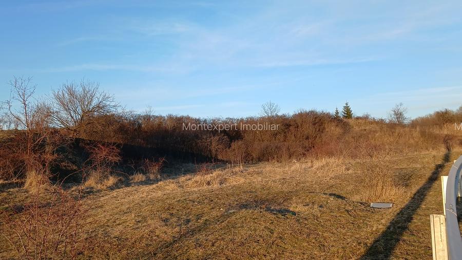 Teren 12.300 mp de vânzare Hărman – Podu Oltului, Brașov | 15 €/mp | Investiție - 5