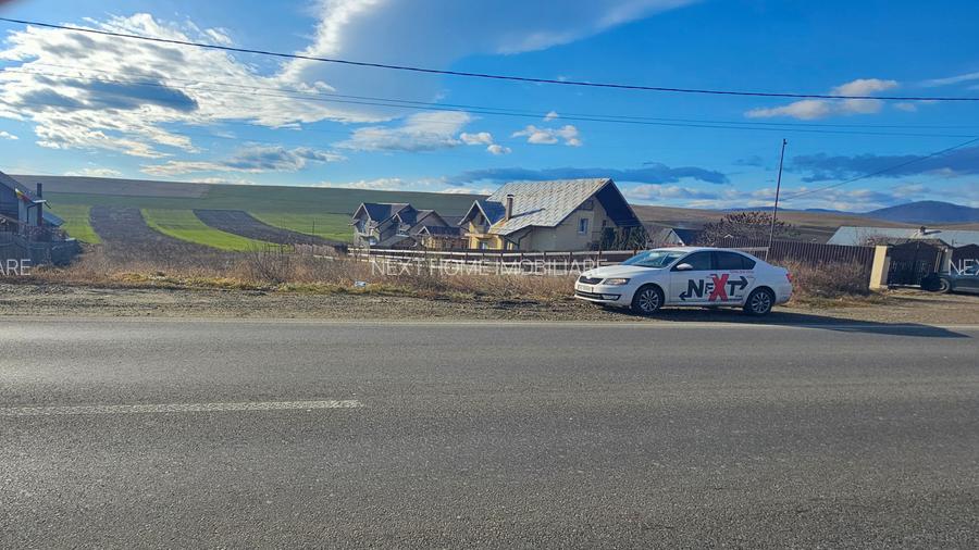 Teren Turturesti la strada principala - 7