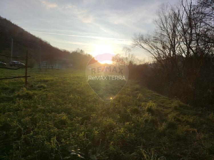 COMISION 0%  Teren intravilan de vanzare in Barsana (26 ARI) - 12