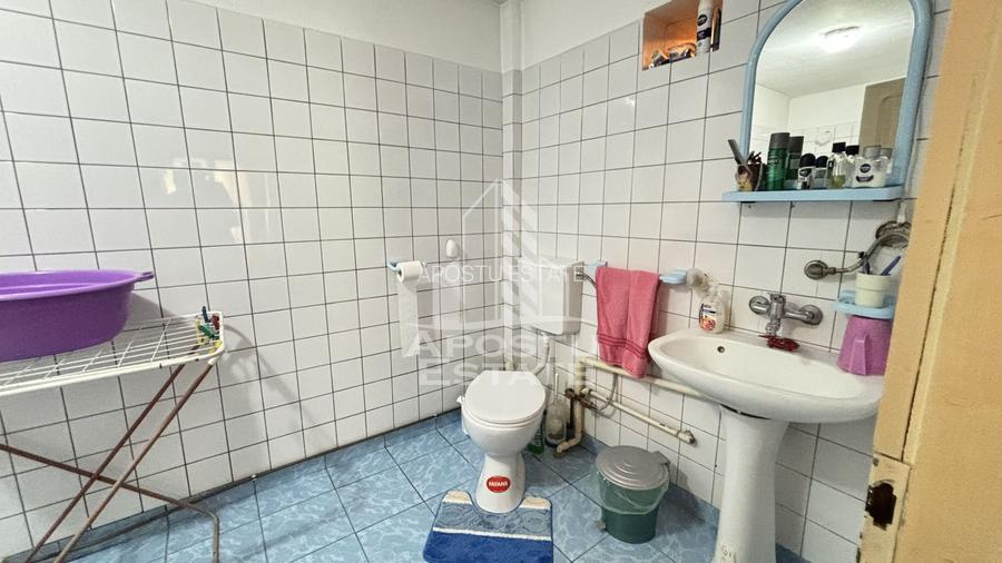 Casa spatioasa, teren 1348 mp, Giarmata - 17