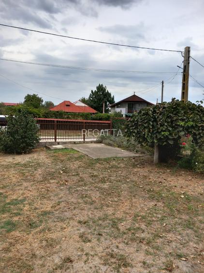 CASA CU TEREN GENEROS IN GRUIU - 2