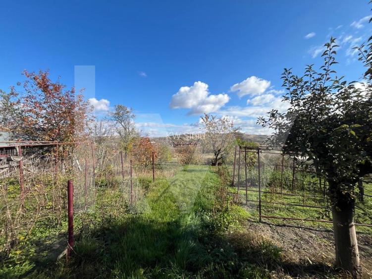 Casa cu poveste si potential – locul perfect pentru un nou inceput in Seica Mare - 26