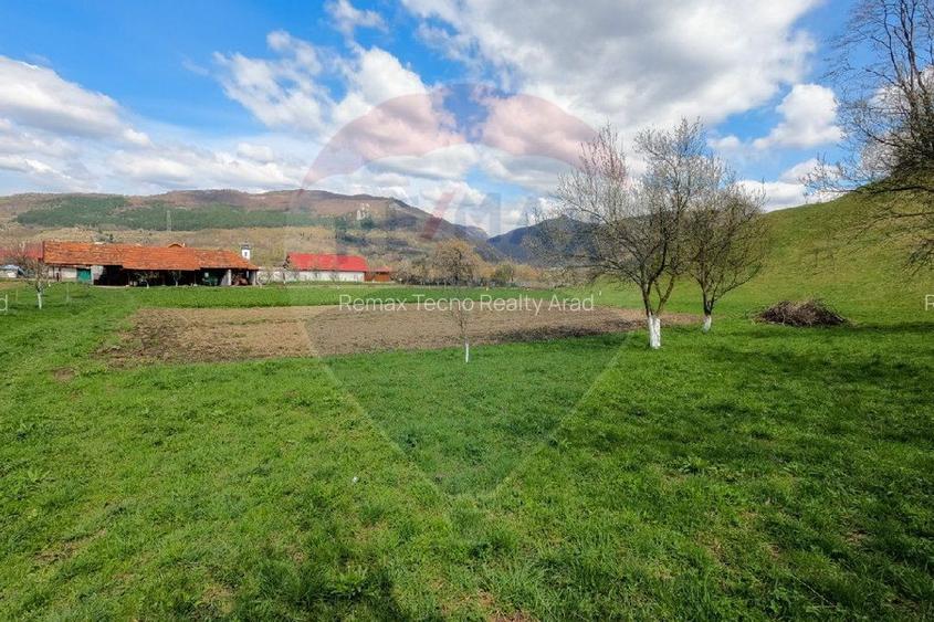 Teren partial intravilan 2,984mp Baru ,jud.Hunedoara - 4