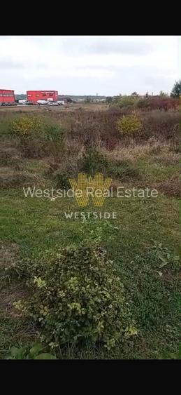 Teren intravilan de vanzare, Calea Lugojului - 4