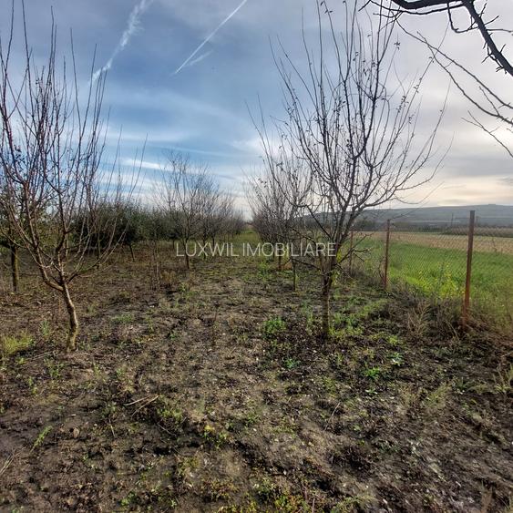 Vanzare teren în localitatea Răscruci - 7